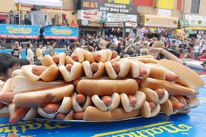 hot dogs