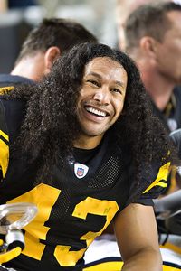 Troy Polamalu