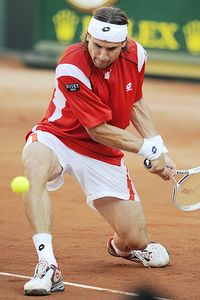 David Ferrer