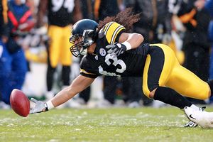 Troy Polamalu