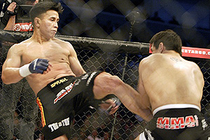 Cung Le