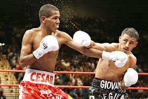 http://a.espncdn.com/photo/2009/0105/boxing_a_segura_300.jpg