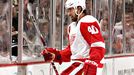 Red Wings