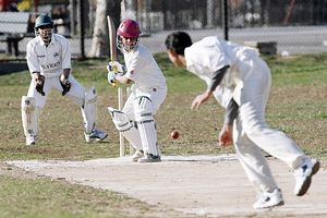 Cricket
