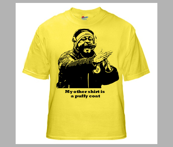 Pittsburgh Steelers T-Shirts, Steelers Shirt, Tees