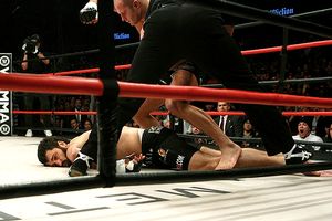 Fedor and Arlovski