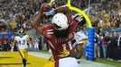 Larry Fitzgerald