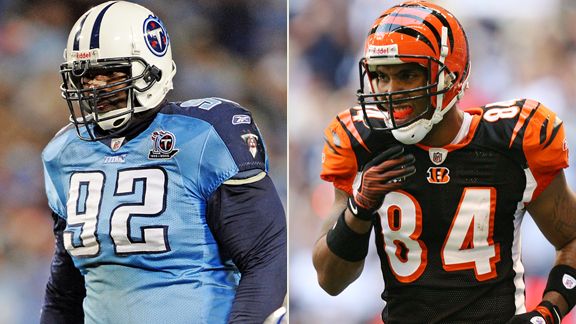 Albert Haynesworth, T.J. Houshmandzadeh