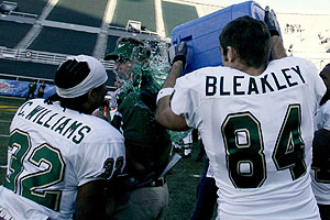 Will Bleakley