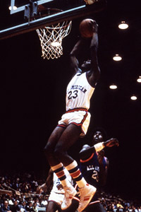 Dominique Wilkins
