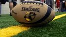 AFL Logo Ball