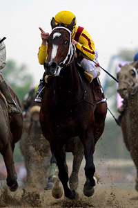 Rachel Alexandra