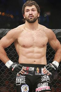 mma_s_arlovski01_200.jpg