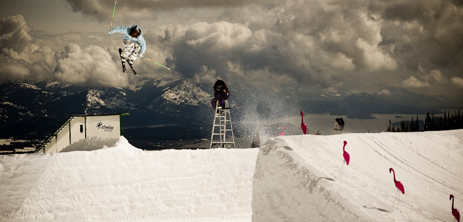 Matt Walker