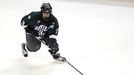 Bemidji State