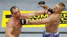 Wanderlei Silva and Chuck Liddell
