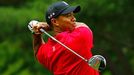 Tiger Woods