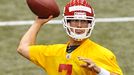Matt Cassel