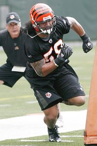 ap photo david kohl cincinnati linebacker rey maualuga will be given 