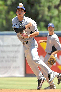 Brewers Gray