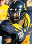 Jahvid Best