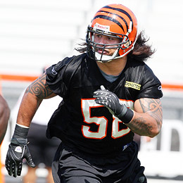 Cincinnati Bengals Rey Maualuga's path to the pros - ESPN The