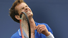 Andy Murray
