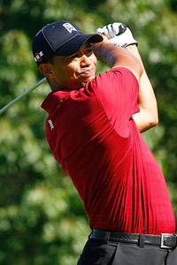 Woods