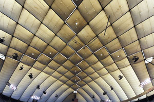 Metrodome Roof