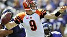 Carson Palmer
