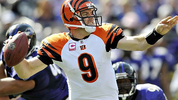 Carson Palmer