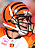 Carson Palmer