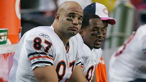 Bears