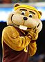 Goldy Gopher