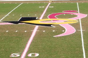 breast cancer symbol