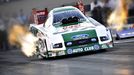 Ashley Force Hood