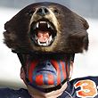 Bears fan