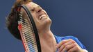 Andy Murray