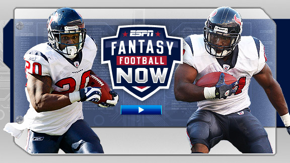 Steve Slaton/Ryan Moats