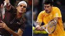 Roger Federer/Novak Djokovic