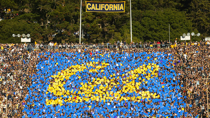 Cal card stunt