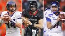 Dalton/Collaros/Moore