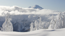 Mt. Baker