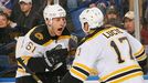 Boston Bruins