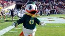 Oregon Duck