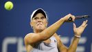Oudin