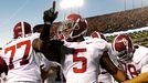 Alabama Celebration