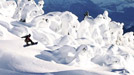Action Sports Powder