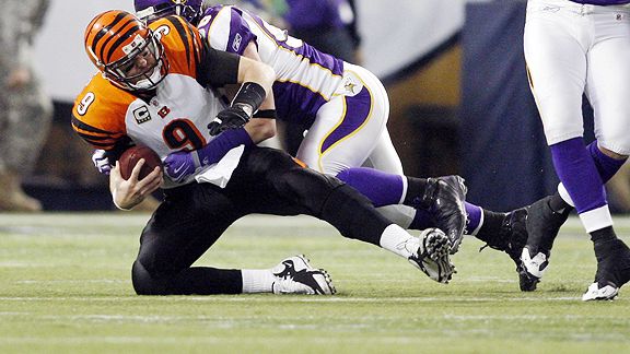 Carson Palmer