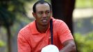 Tiger Woods
